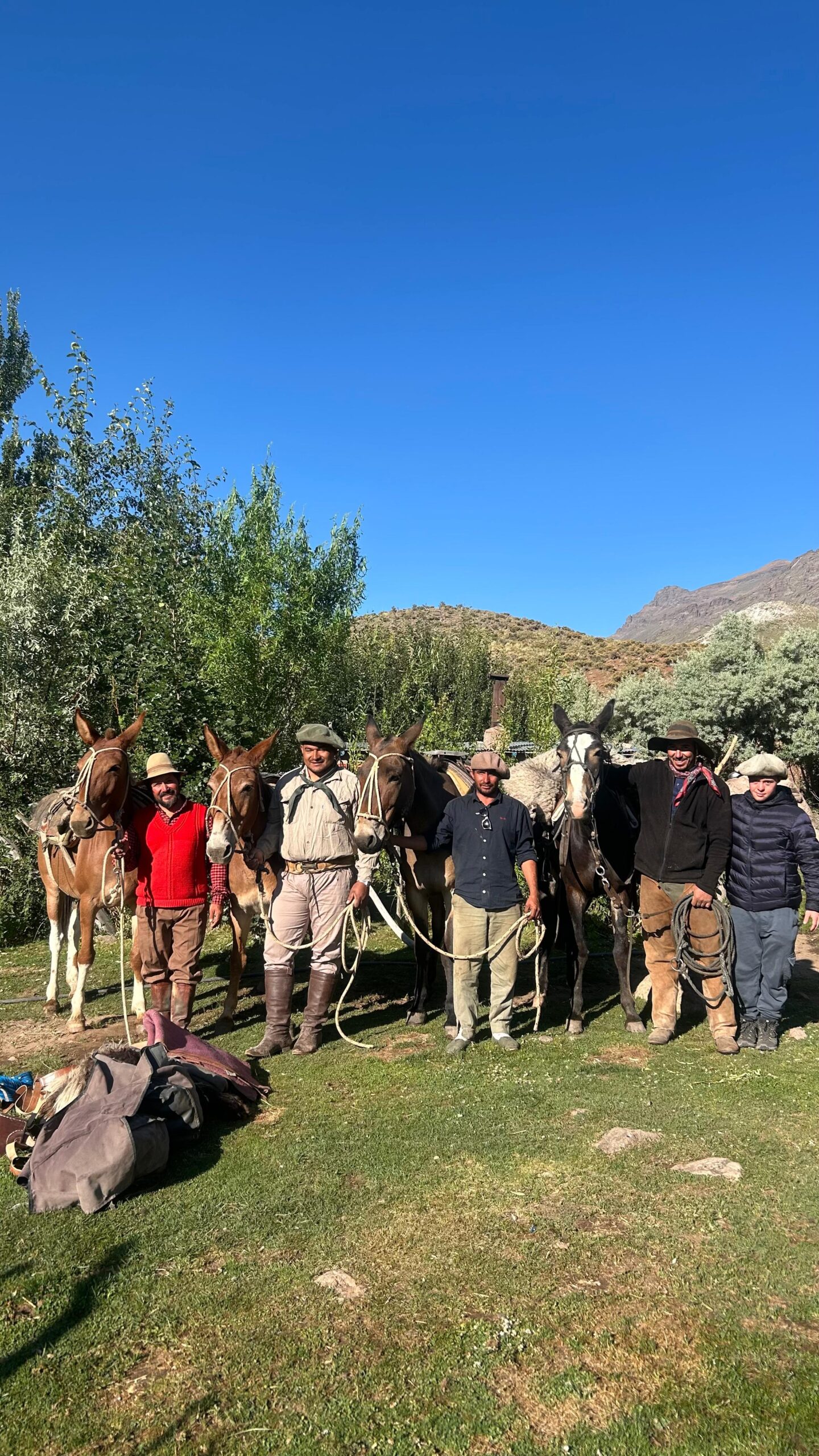 17d8cbf2 bd5a 449c 9876 210bba8497a1