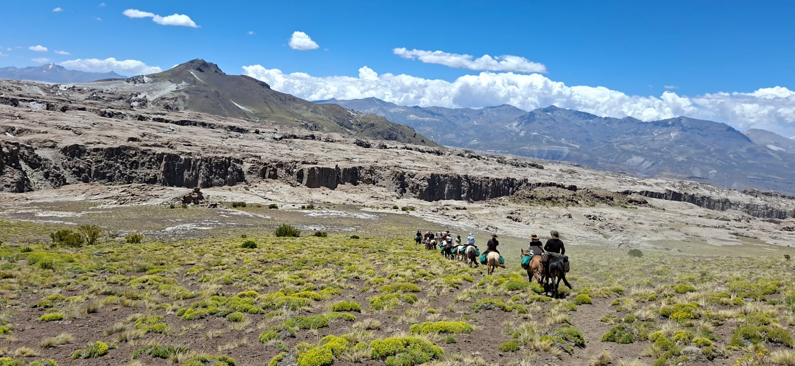 2274dda7 3dae 4624 b95e 80ecb6eed1f5