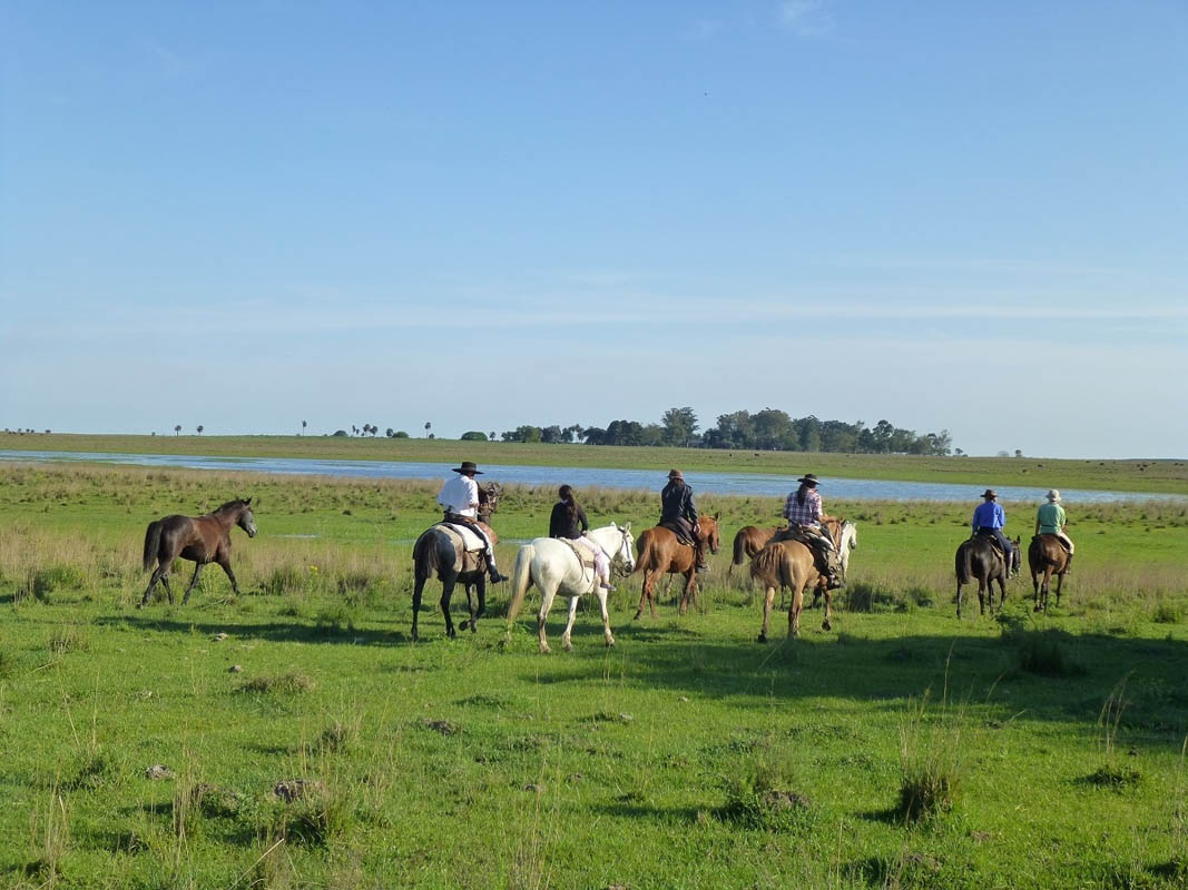 Services argentina la rosita corrientes18